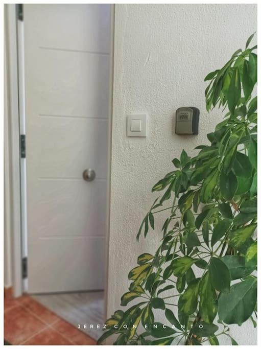 דירות חרז Atico En Pleno Centro De Jerez Sin Ascensor מראה חיצוני תמונה